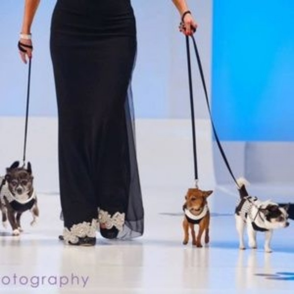 I'M DENISE... - Picture 3 of 13